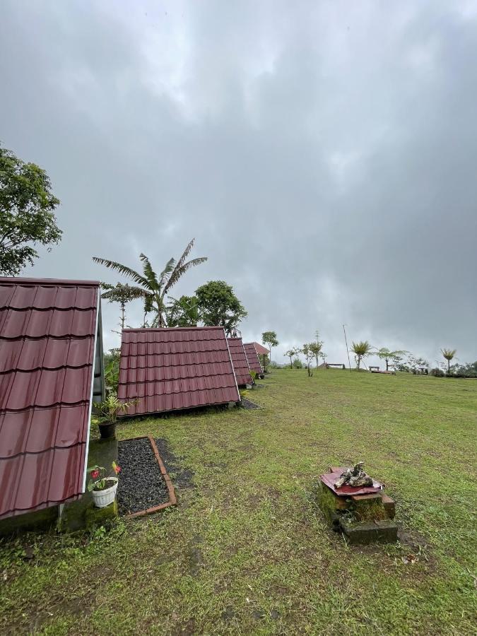 Bugo Camp Glamping & Natural Activity Camping Munduk