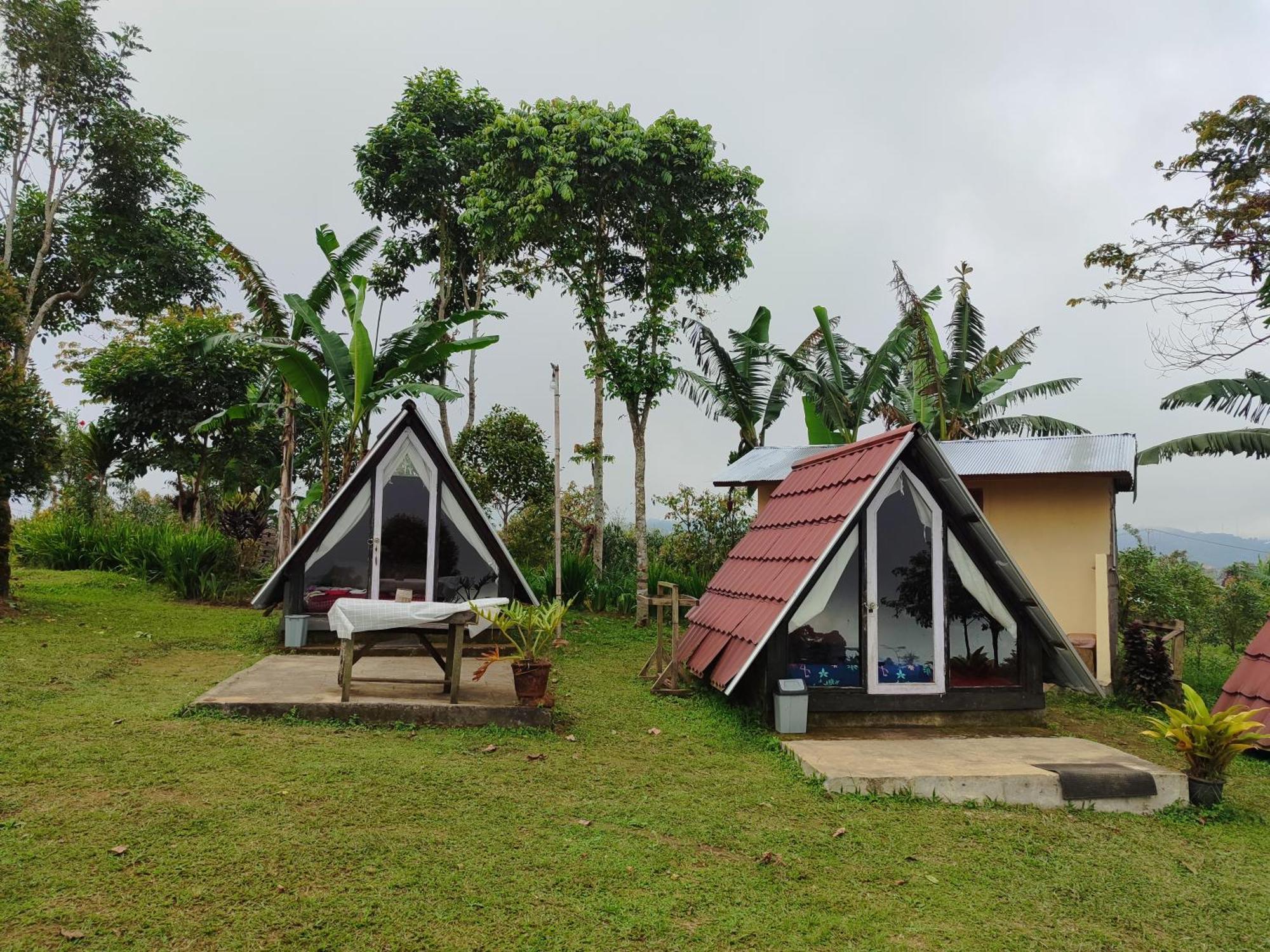 Bugo Camp Glamping & Natural Activity Camping *
